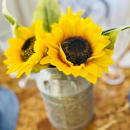 Sunset Inn 런어웨이베이 외부 사진